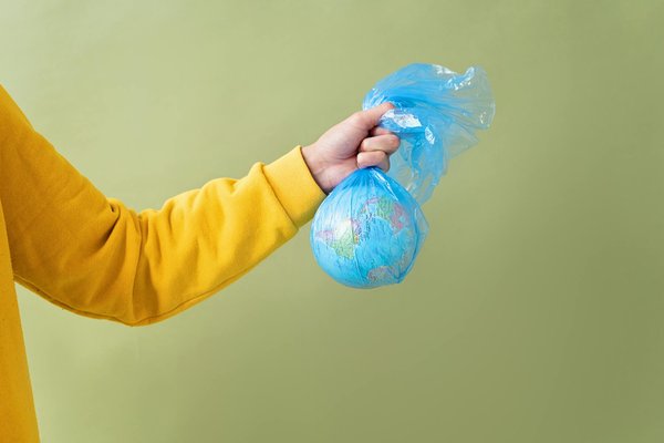 L'Impact Stratégique des Entreprises sur la Reforestation Globale